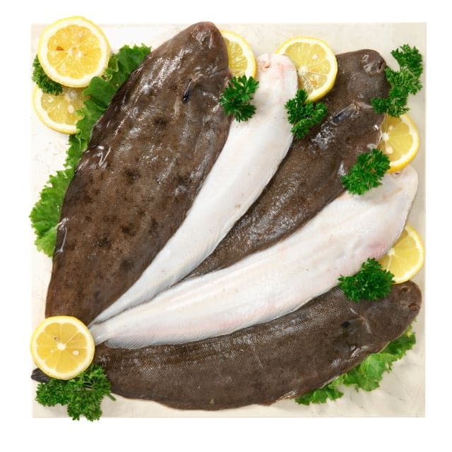 Sole 300/400