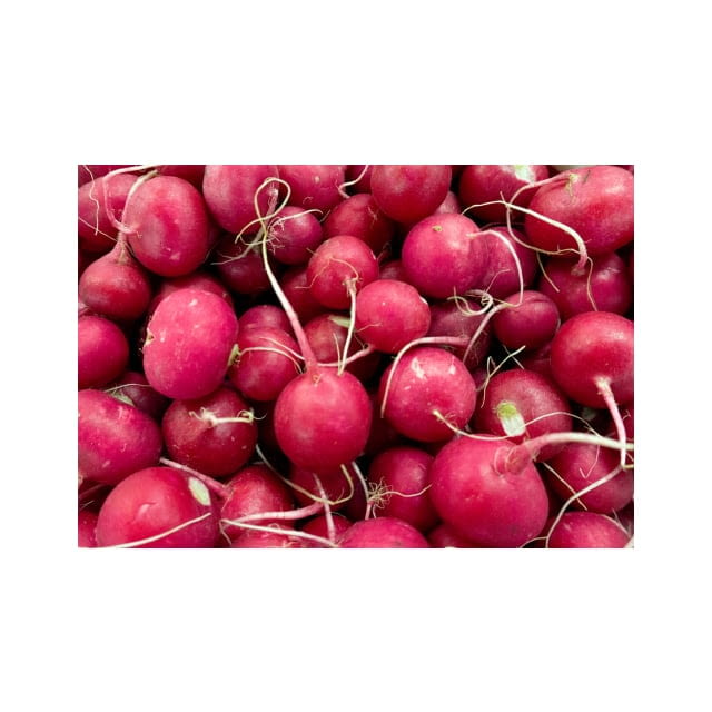 Radish