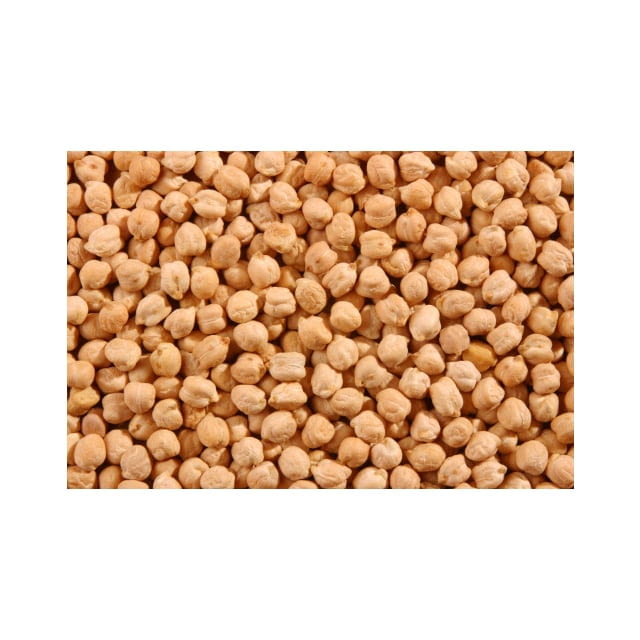 Chickpeas garbanzo beans