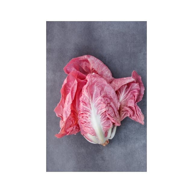 Pink radicchio lettuce
