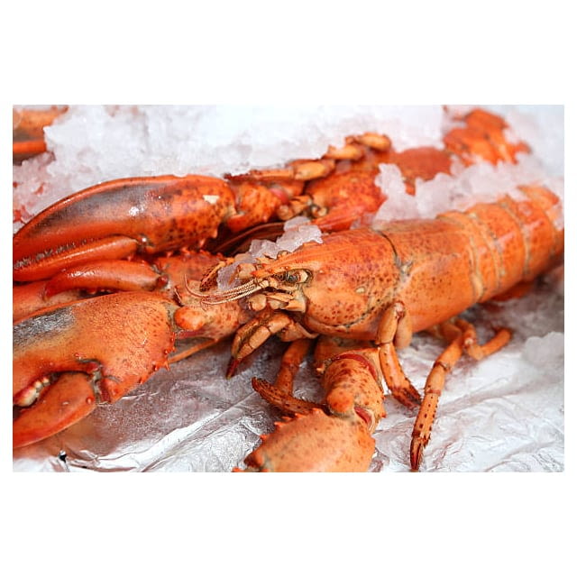 Frozen wild lobster bodies