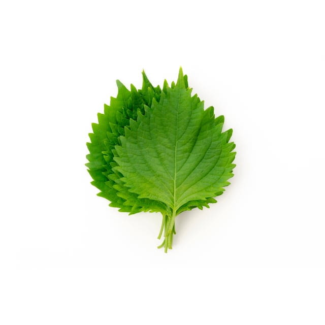 Edible shiso green leaves