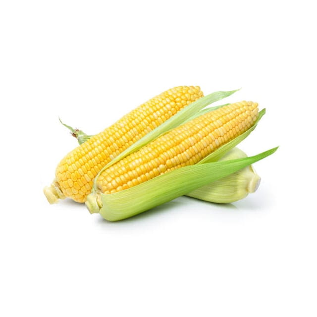 Sweetcorn