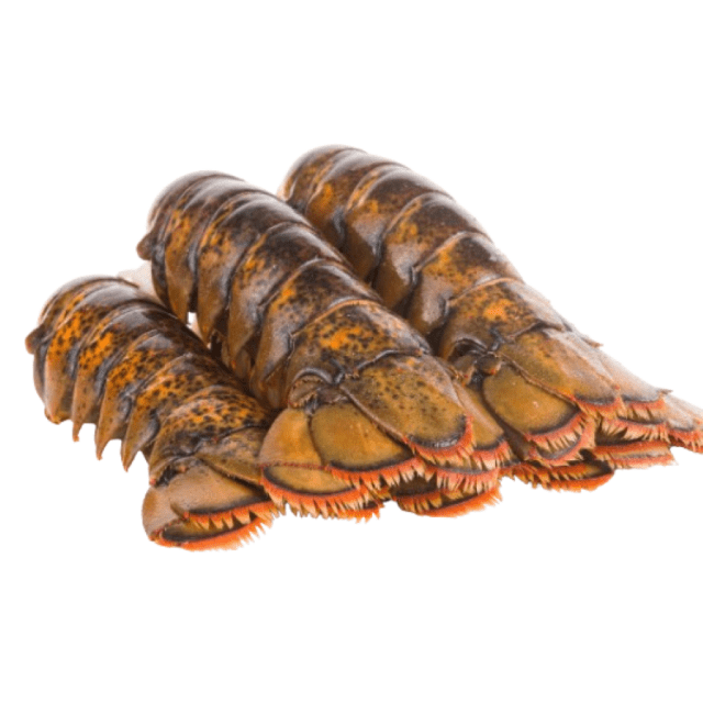 Frozen lobster tails Brazilian CAL 6Oz