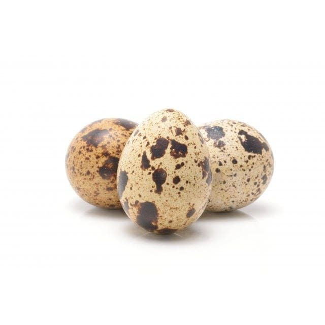 Oeuf de caille