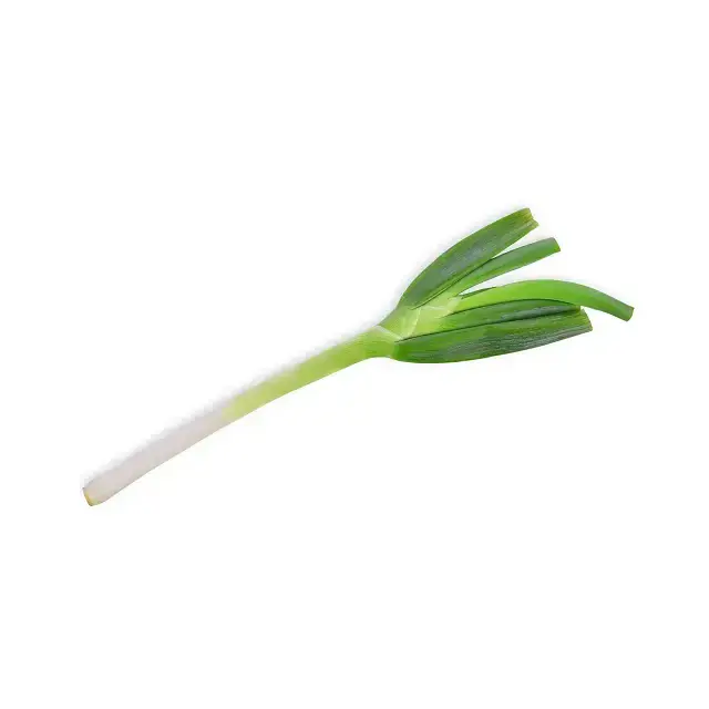 Oignon vert fin CAL 10/10 4ème gamme