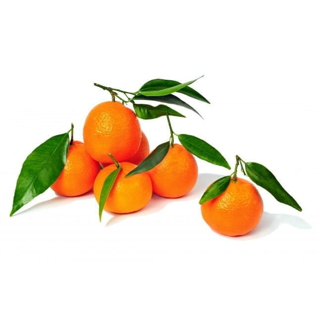 Clemenvilla avec feuille CAT 1