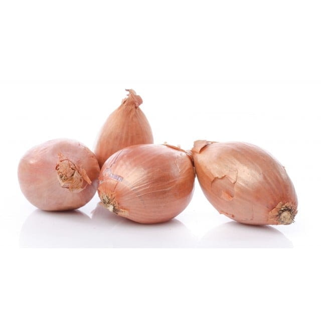 Shallot
