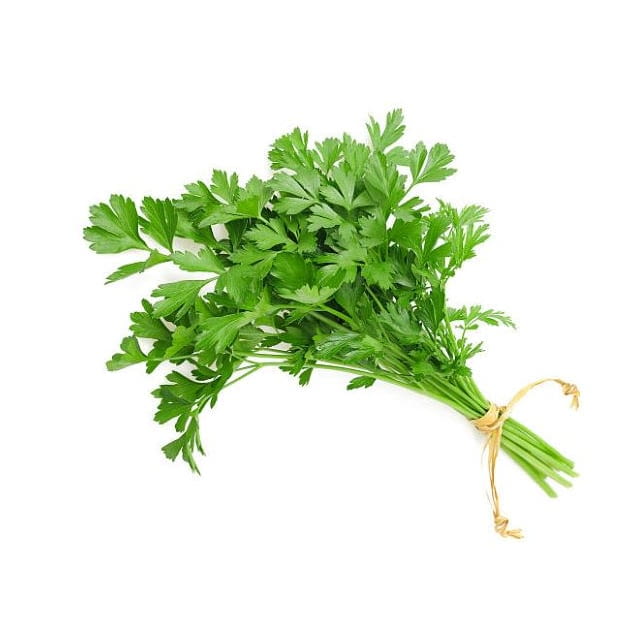 Coriander