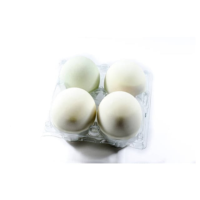 Medium white eggs