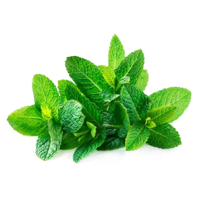 Menthe — cours et prix