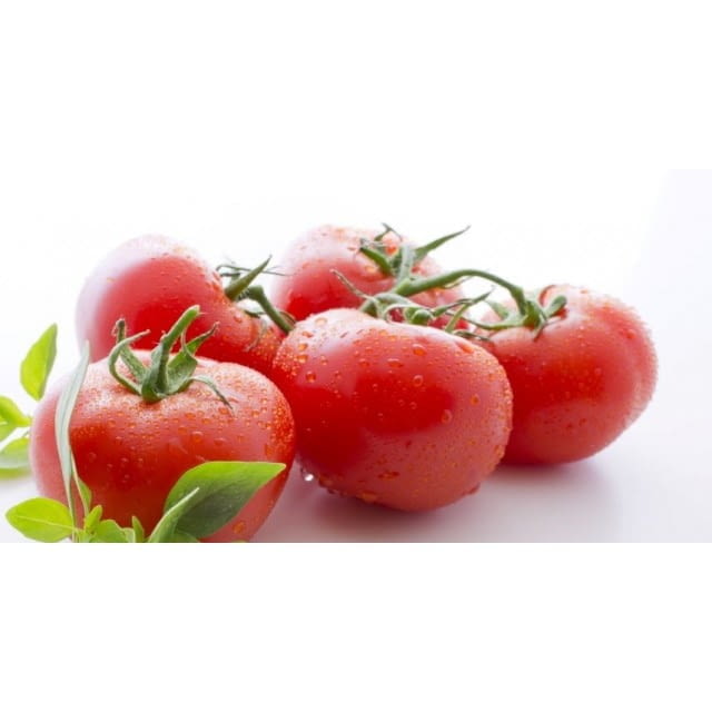 Tomatoes on vine