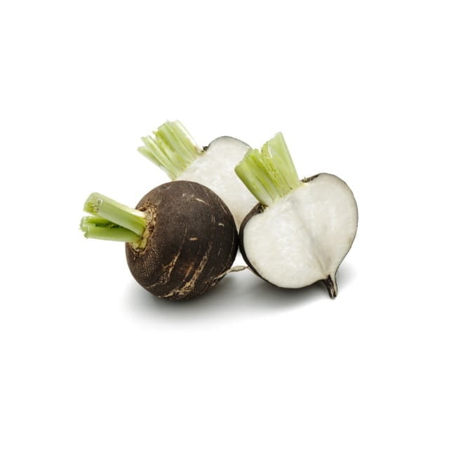 Black radish