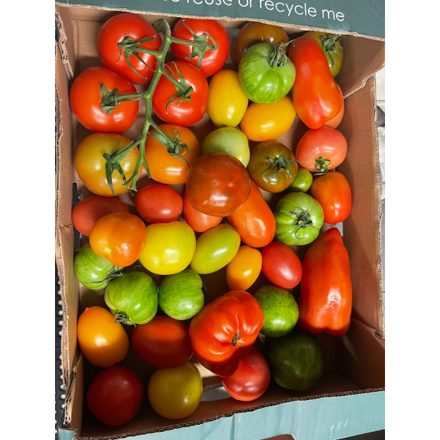Heirloom /heritage Tomatoes