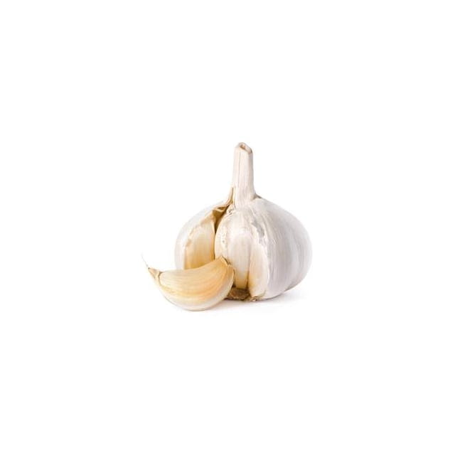 Super colossal garlic