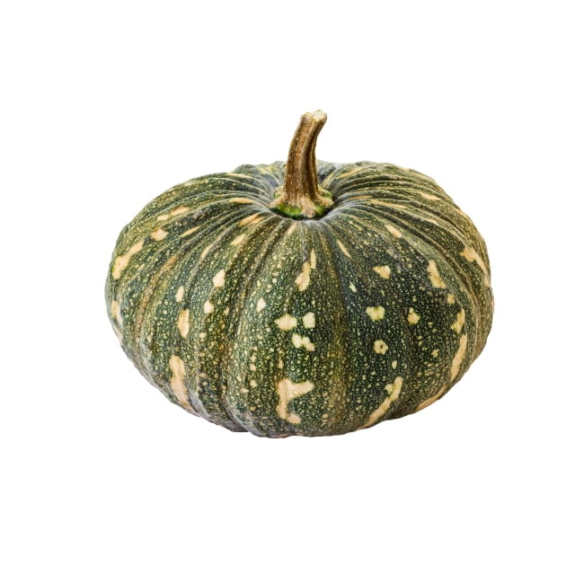 Squash kabocha