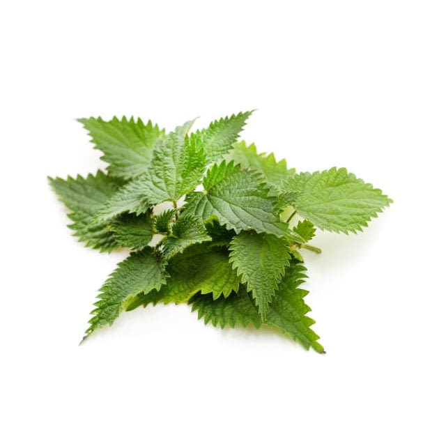 Nettles