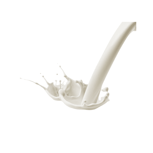Lait entier UHT