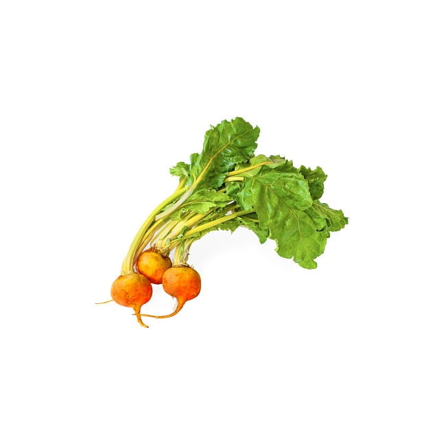 Baby gold beets