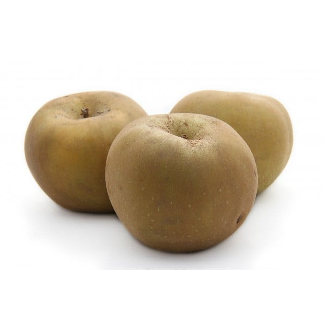 Russet apples