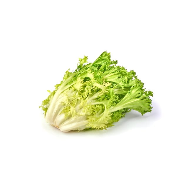 Lettuce Frisee fine