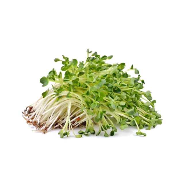 Alfalfa sprouts