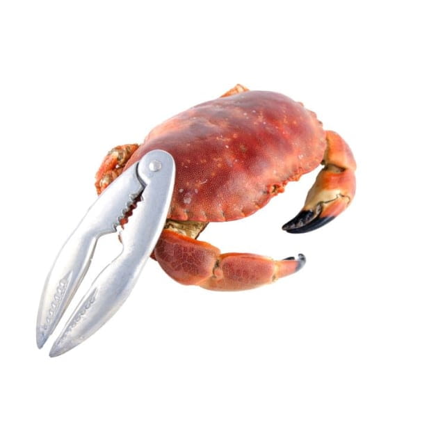 Tourteau cuit pasteurisé