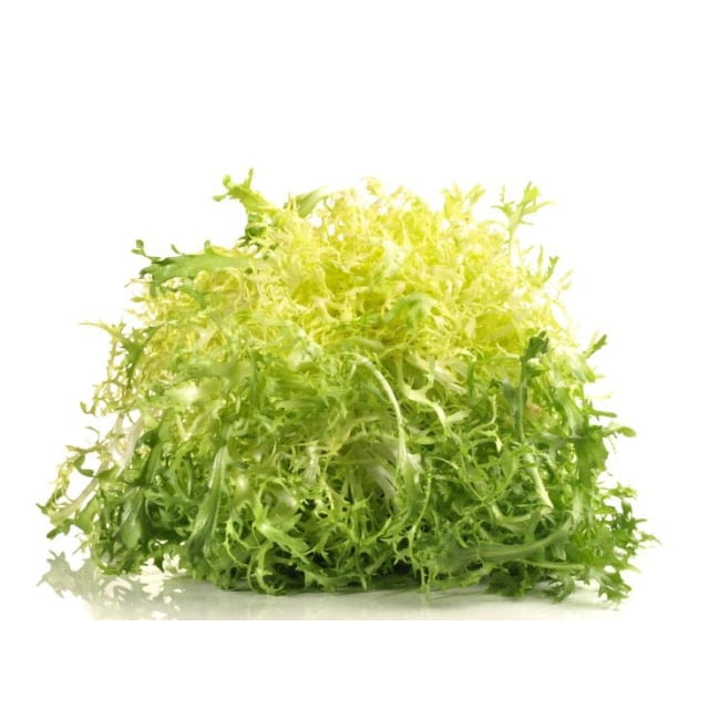 Salade frisée fine