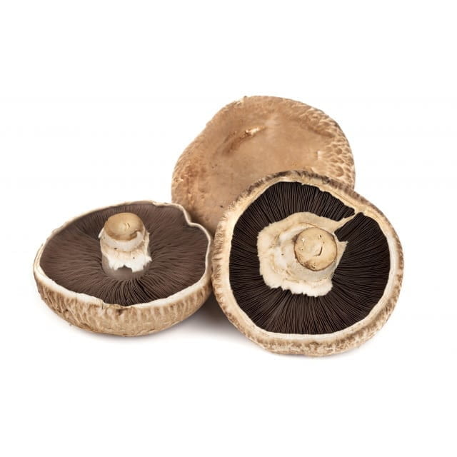Open cup mushrooms