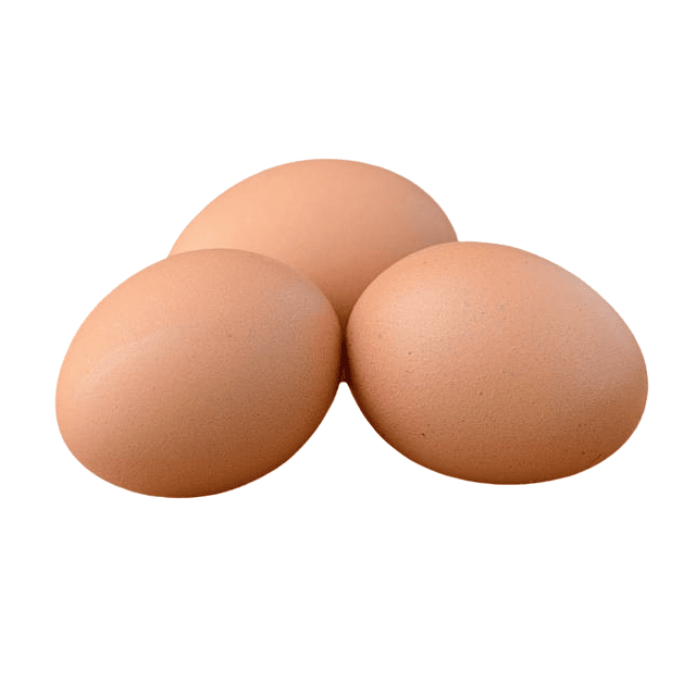 Oeuf frais gros