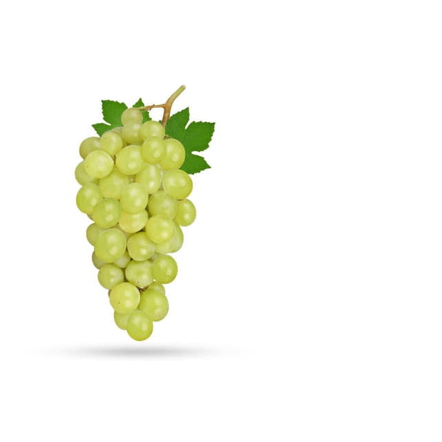 Seedless white grapes