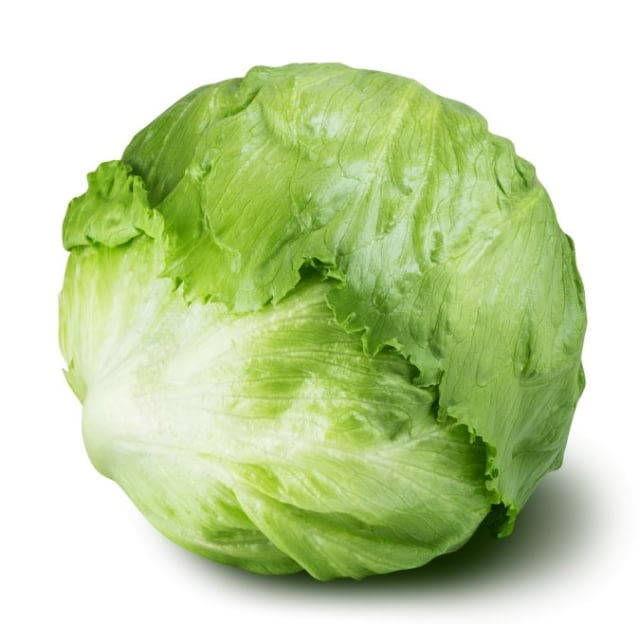 Lettuce Iceberg