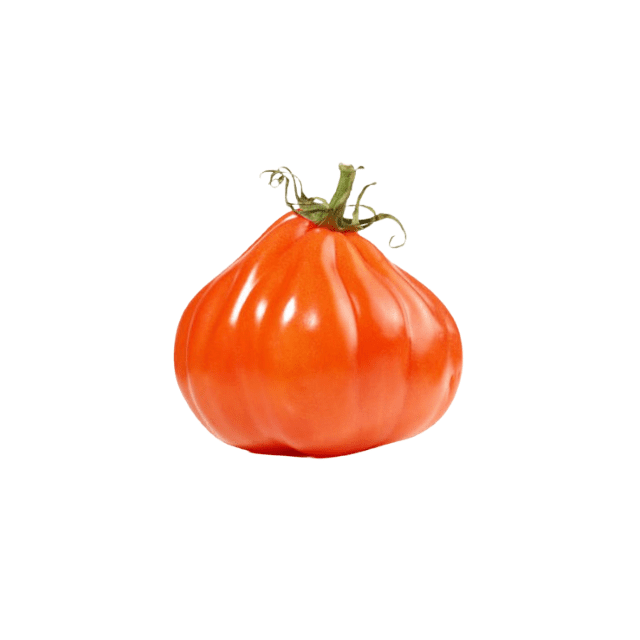 Tomate coeur de boeuf