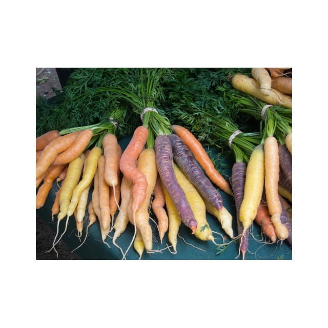 Carrot heritage