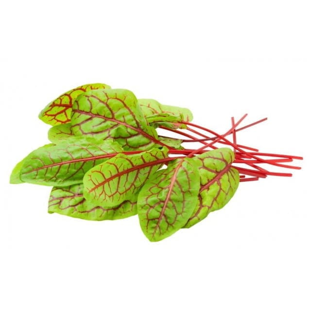 Micro cress red vein sorrel