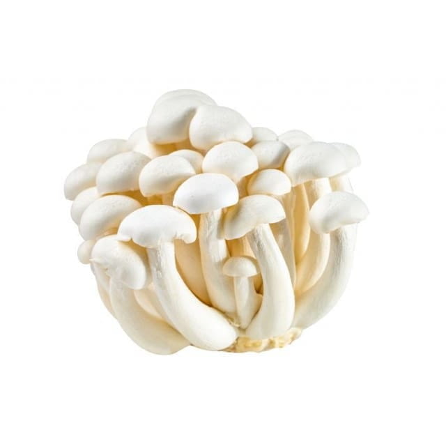White shimeji mushrooms
