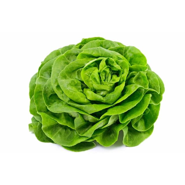 Lettuce round