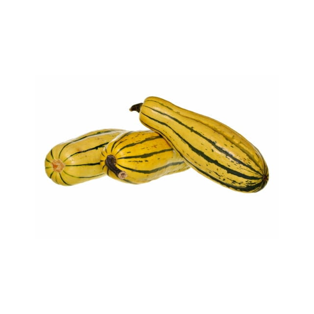 Delicata squash