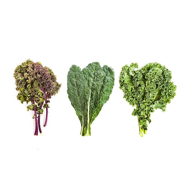 Variegated kale