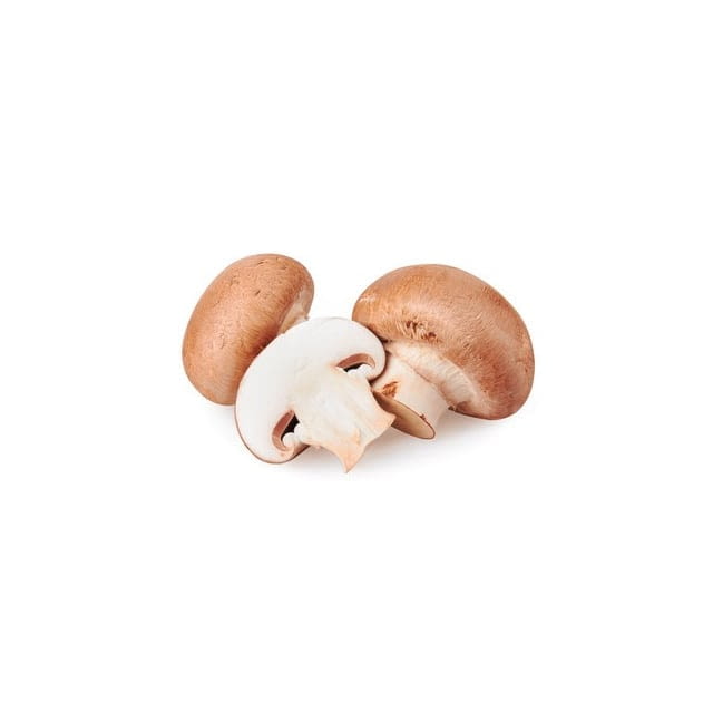 Champignon de Paris Bio