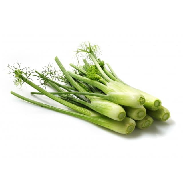 Baby fennel
