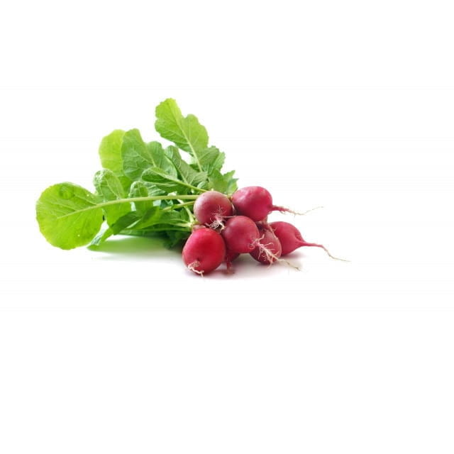 Radish bulk