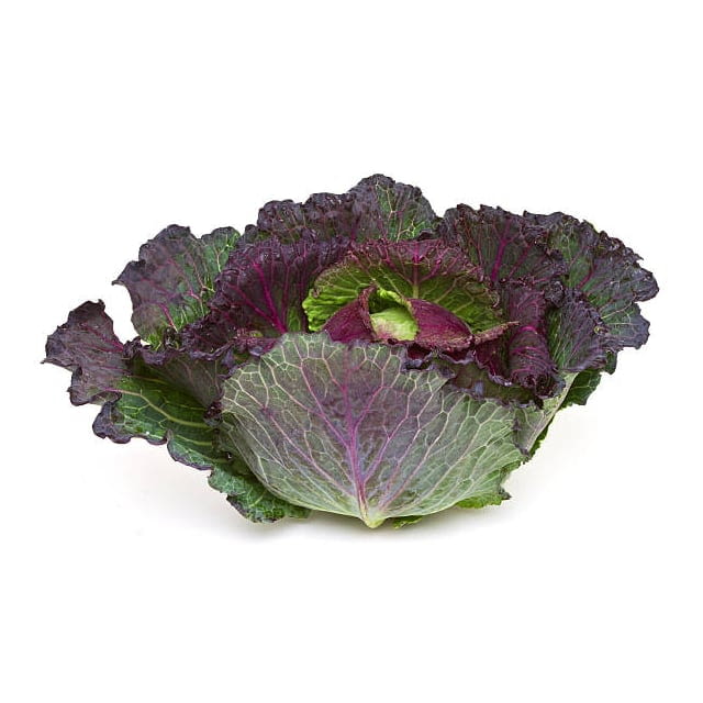 January King cabbage