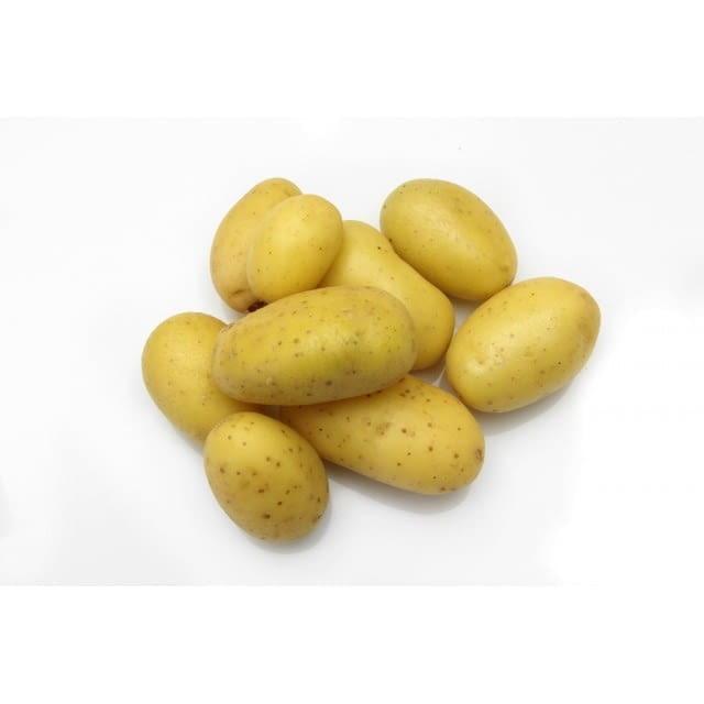 Pomme de terre agria lavée GT