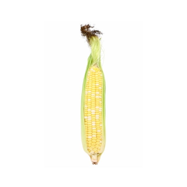 Bi-color corn