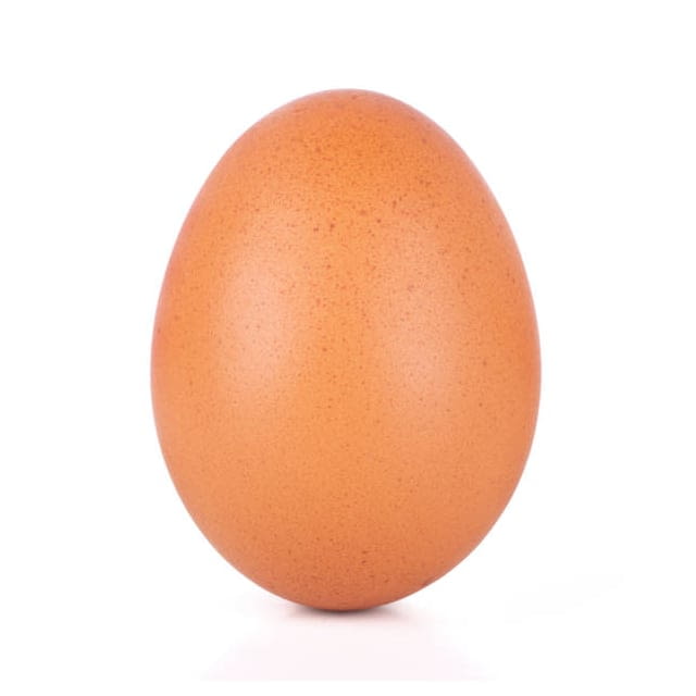 Brown jumbo eggs 12 Pack