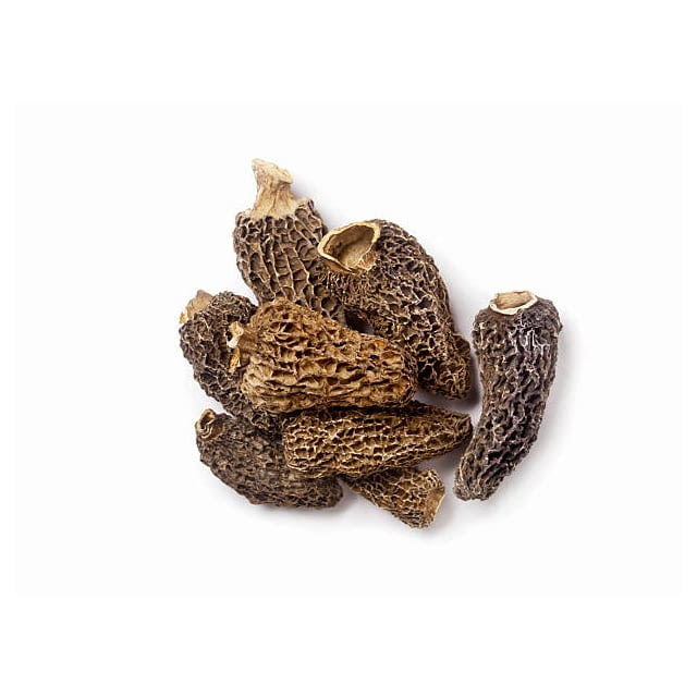 Dried mushroom morels