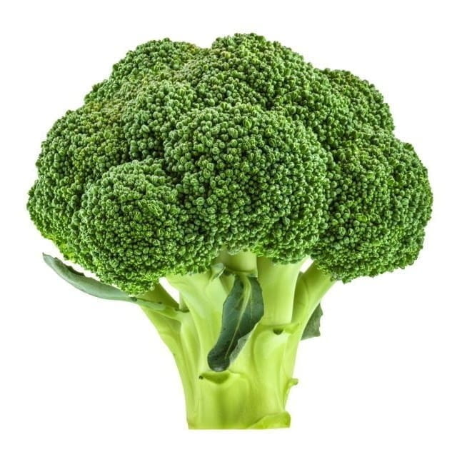 Broccoli Organic