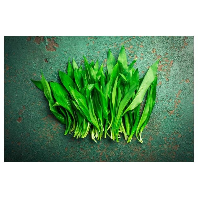 Micro cress tarragon