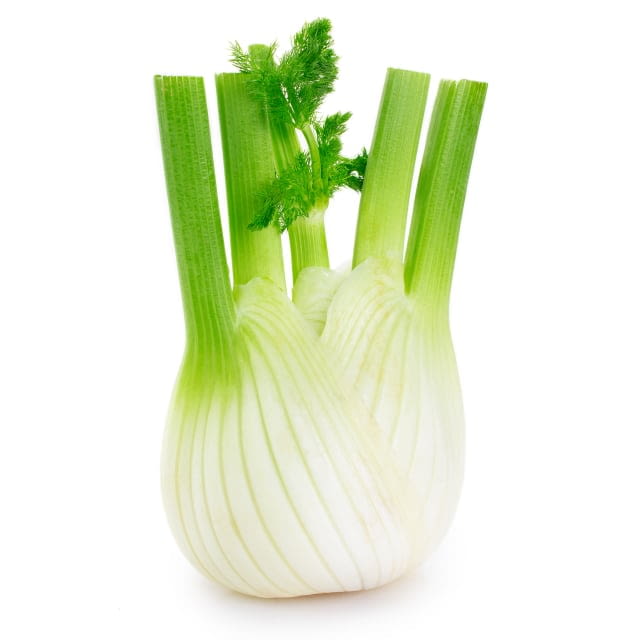 Fennel